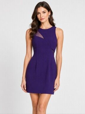 JAYGODFREY Purple Mini Dress Size 4